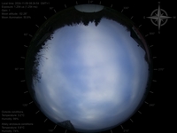 image-20241109082454.jpg