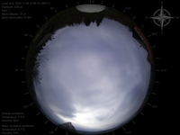 image-20241109103616.jpg