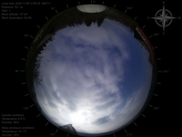 image-20241109110025.jpg