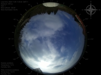 image-20241109110544.jpg
