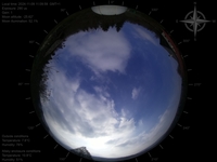 image-20241109110959.jpg