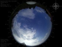 image-20241109111238.jpg
