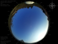 image-20241109145950.jpg