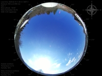 image-20250219112012.jpg