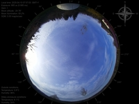 image-20250410075703.jpg