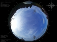 image-20250410080213.jpg