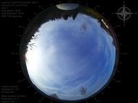 image-20250410080620.jpg