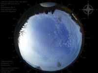 image-20250410082149.jpg