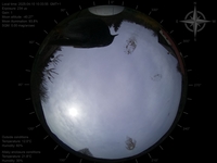 image-20250410103355.jpg