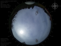 image-20250410104923.jpg