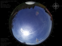 image-20250410115221.jpg