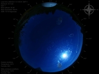 image-20250411014935.jpg