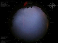 image-20250414230925.jpg