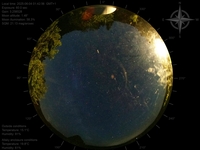 image-20250604014256.jpg
