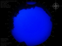 image-20250610035255.jpg