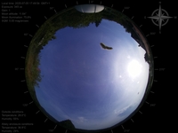 image-20250705174954.jpg