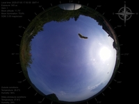 image-20250705175055.jpg