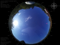 image-20250715084955.jpg