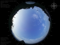 image-20250817065558.jpg