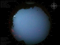 image-20250818022723.jpg