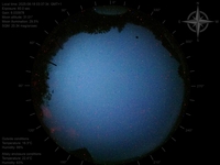 image-20250818033734.jpg