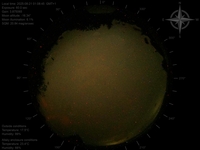 image-20250821010845.jpg