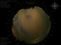 image-20250829040112.jpg