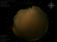 image-20250830033656.jpg