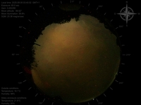 image-20250830034002.jpg