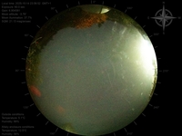 image-20251014235652.jpg