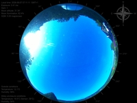 image-20260607071111.jpg