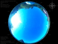 image-20260607080526.jpg