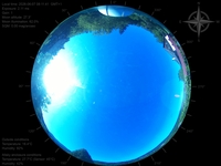 image-20260607081141.jpg