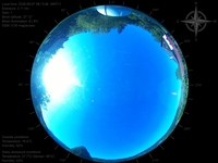 image-20260607081346.jpg
