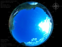 image-20260607170523.jpg