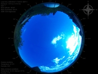 image-20260607170830.jpg