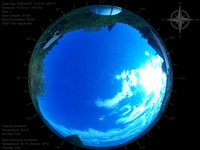 image-20260607174704.jpg