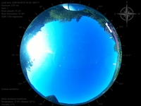 image-20260608075400.jpg