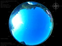 image-20260608080323.jpg