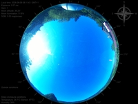 image-20260608081143.jpg