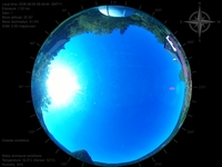 image-20260608084944.jpg