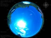 image-20260608114455.jpg