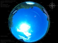 image-20260608114700.jpg