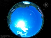 image-20260608114803.jpg