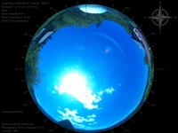 image-20260608114905.jpg