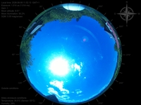 image-20260608115213.jpg