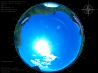 image-20260608115623.jpg