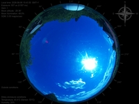image-20260608154335.jpg