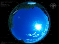 image-20260608154745.jpg