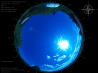 image-20260608154848.jpg